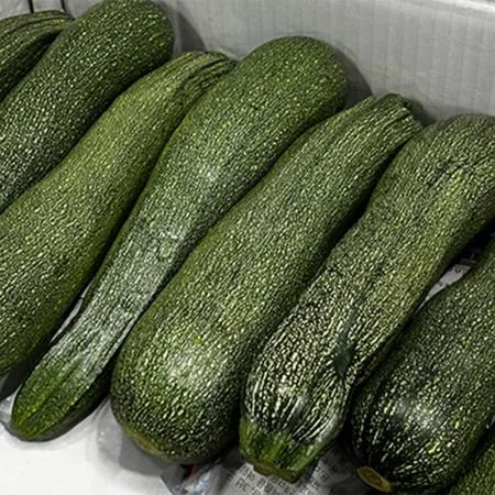 쥬키니호박 (강서시장, 상 10Kg/BOX)