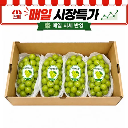 ★매일시장특가★ 샤인머스캣 (특, 3-5수 2Kg/BOX)
