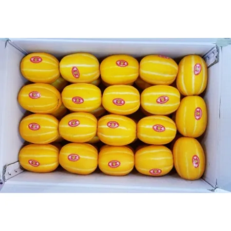 참외(31~40과 10Kg/BOX)