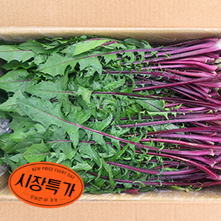 ★매일시장특가★ 적치커리(상 2Kg/BOX) 치커리 초특가 채소 야채