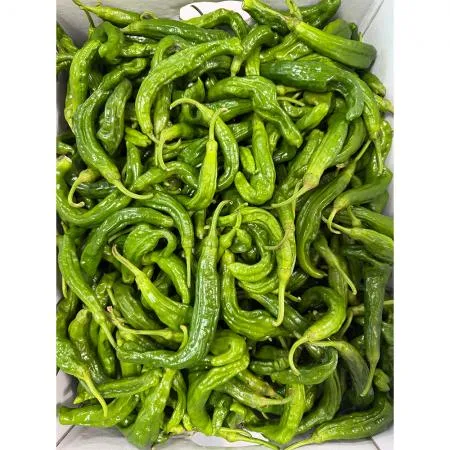 꽈리고추 (강서, 상 4Kg/BOX)