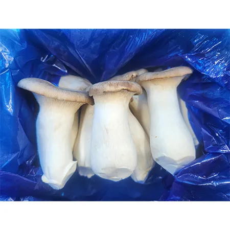 이츠웰새송이버섯(상품 친환경 1Kg/BOX)/국내산