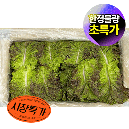 ★매일시장특가★ 적상추(국내산 상 4Kg/BOX) 상추 초특가 채소 야채