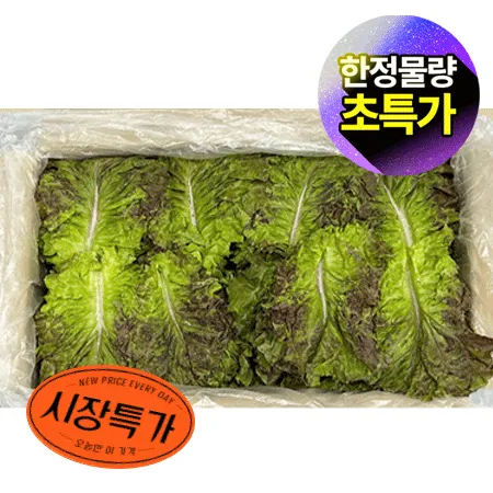 ★매일시장특가★ 적상추(국내산 상 4Kg/BOX) 상추 초특가 채소 야채