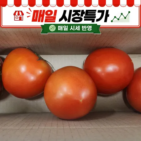★매일시장특가★ 토마토(완숙 5~7과 1Kg/EA)