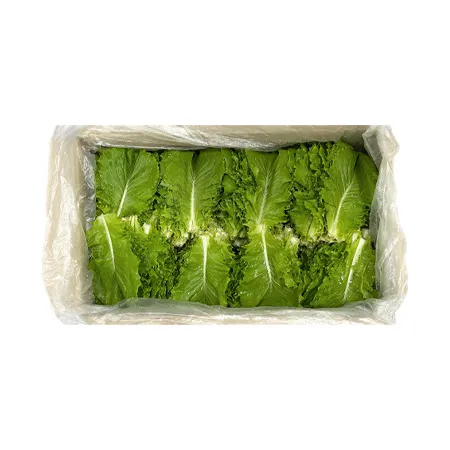 청상추(국내산, 상, 4Kg/BOX)