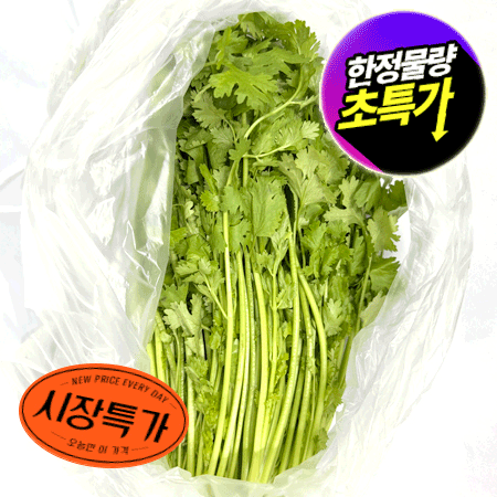 ★매일시장특가★ 고수 1단(국산 200g/EA) 초특가 채소 야채 국내산 마라탕