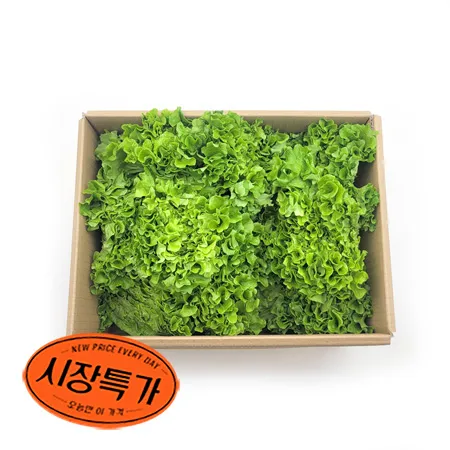 ★매일시장특가★ 카이피라(2Kg/BOX) 초특가 유러피언 농산물 유럽 유러피안 유로피안