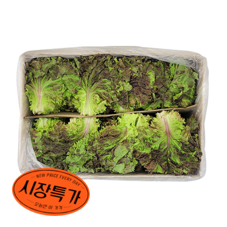 ★매일시장특가★ 꽃상추 ( 상 4Kg/BOX) 초특가 야채 채소 상추