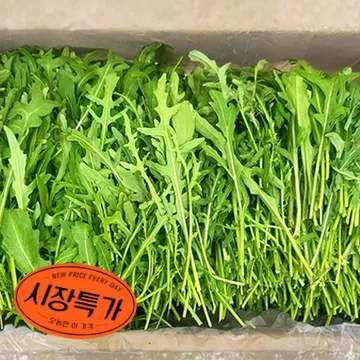 ★매일시장특가★ 와일드 루꼴라(1Kg/BOX) 야채 초특가 로케트 샐러드 와일드루꼴라