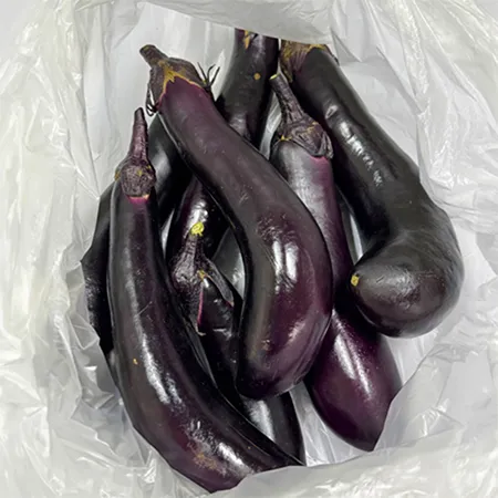 ★매일시장특가★ 가지(국산 1Kg/EA) 초특가 채소 야채 국내산 이미지