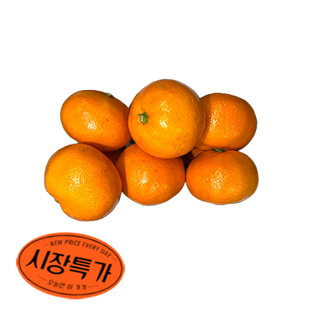 ★매일시장특가★ 감귤( S_12~15과 1Kg/EA) 과일 초특가