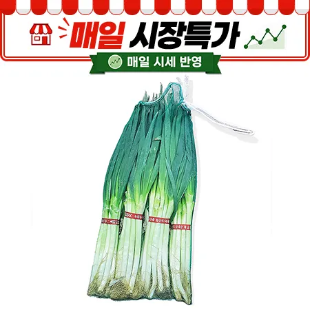 ★매일시장특가★ 흙대파 10단/망