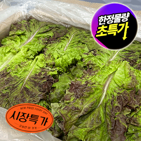 ★매일시장특가★ 적상추(국내산 상 4Kg/BOX) 상추 초특가 채소 야채