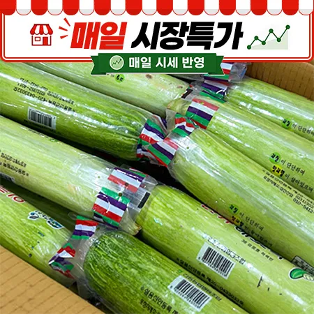 ★매일시장특가★ 애호박(국내산, 상, 20입/BOX)