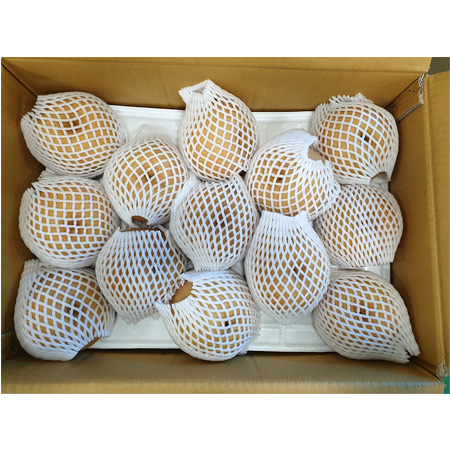 배(상품 26~30과 15Kg/BOX)/국내산