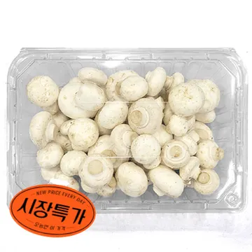 ★매일시장특가★ 양송이버섯(실속 500g/EA) 초특가 채소 야채 양송이 버섯