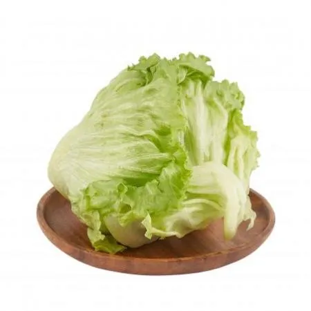 양상추(상품 겉잎제거 KG)/국내산 이미지