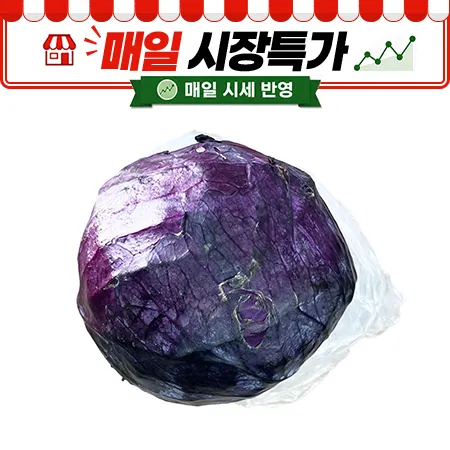★매일시장특가★ 적채 (KG단위출고) 중국산 적양배추