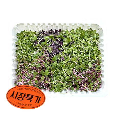[10%쿠폰] 혼합베이비채소 (국산 500g/EA) 이미지
