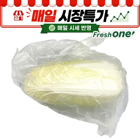 ★매일시장특가★ 프레시원 알배기배추 (특, 600g내외/EA)