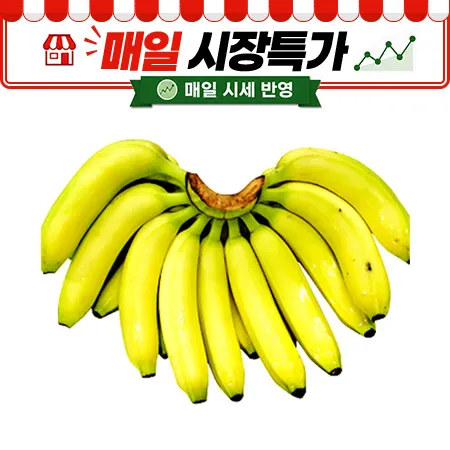 ★매일시장특가★ 바나나 (1송이 2Kg내외) 베트남산