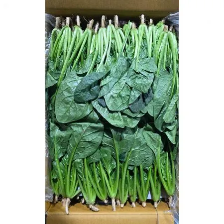 시금치(상 한국청과 179번 4Kg/BOX)
