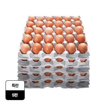 무항생제 특란 (30입, 5판)