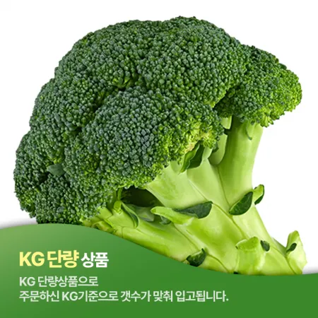 ♥채소특가♥ 브로컬리(상등급/KG) 중국산