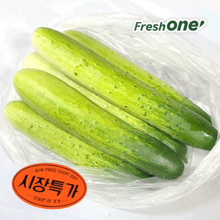 ★매일시장특가★ 다다기오이/5입내외/국산/백오이