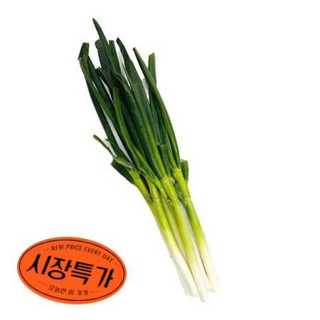 ★매일시장특가★ 깐대파 1KG  (국내산) 초특가 대파