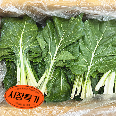 ★매일시장특가★ 근대(상 4Kg/BOX) 초특가 채소 야채