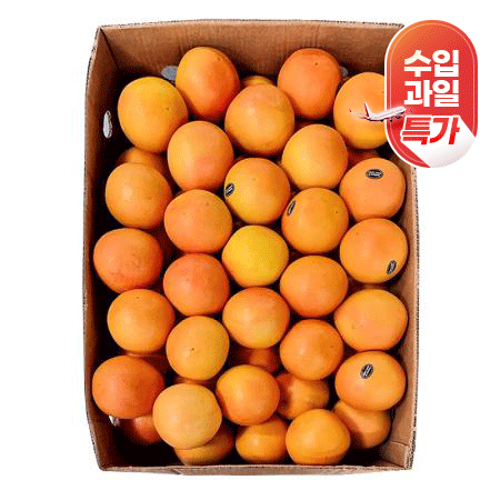 ★수입과일특가★ 자몽(40~50과 생과용 15Kg/BOX) 초특가 과일