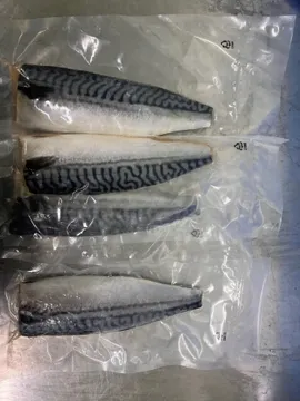 고등어필렛(개별진공포장_100~130g/필렛 115g/EA)