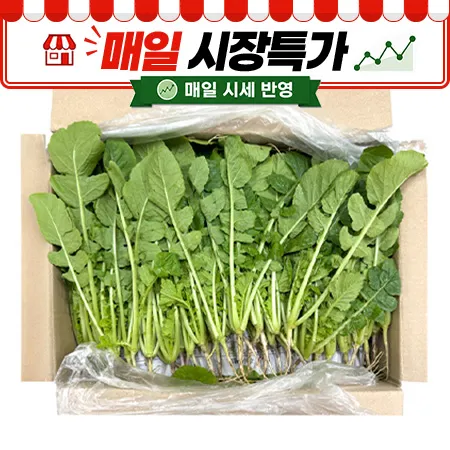 ★매일시장특가★ 열무(상 4Kg/BOX)