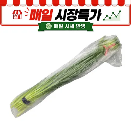 ★매일시장특가★ 마늘쫑(상 700g/EA)