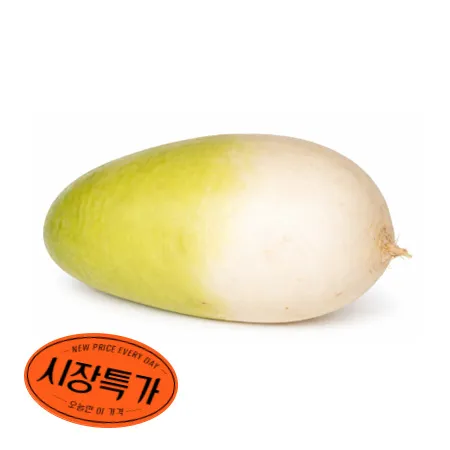 ★매일시장특가★ 무우 1KG (국내산 무선별 KG단위 출고) 무  초특가