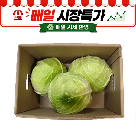 ★매일시장특가★ 양배추(겉잎제거_2~3입 6Kg/BOX)
