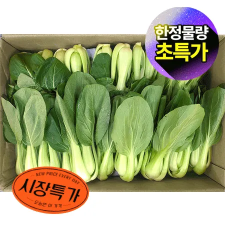 ★매일시장특가★ 청경채 상 4Kg/BOX 초특가 채소 야채