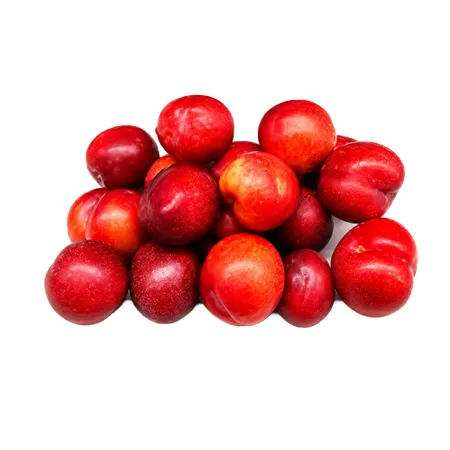 자두 (1Kg/EA)