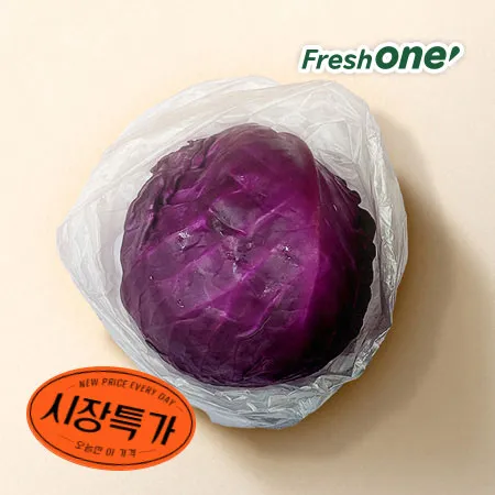 ★매일시장특가★ 프레시원 적채 (1Kg 내외 1입) 적양배추