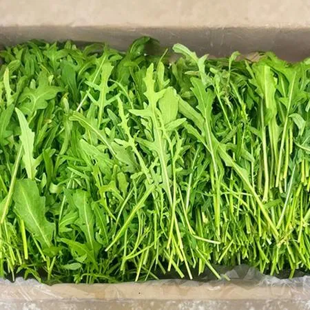 ★매일시장특가★ 와일드 루꼴라(1Kg/BOX) 야채 초특가 로케트 샐러드 와일드루꼴라 이미지