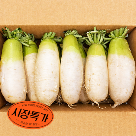 ★매일시장특가★ 무우(10~12수내외 18Kg/BOX) 박스무 특가행사(매일 선착순 200박스) 무