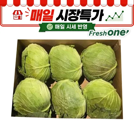 ★매일시장특가★ 양배추 국내산 (15Kg/BOX)