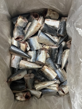 고등어(내장제거_80~100g/토막 조림용 KG)