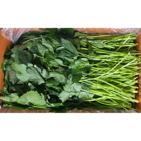  참나물(한국청과 179번 4Kg/BOX)