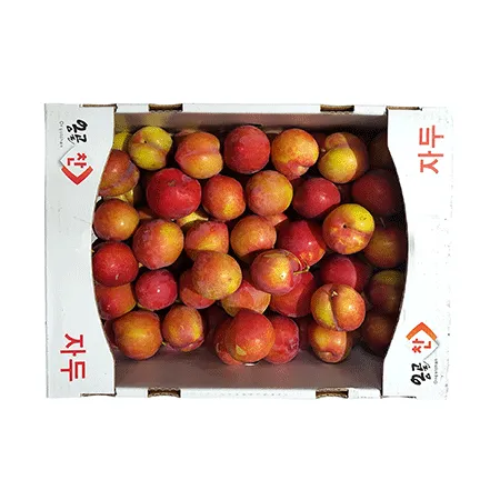 자두(5Kg/BOX)