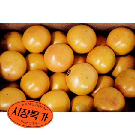 ★매일시장특가★ 자몽(300g이상*2개입 600g/EA)