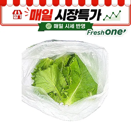 ★매일시장특가★ 프레시원 청상추(상, 500g/EA)