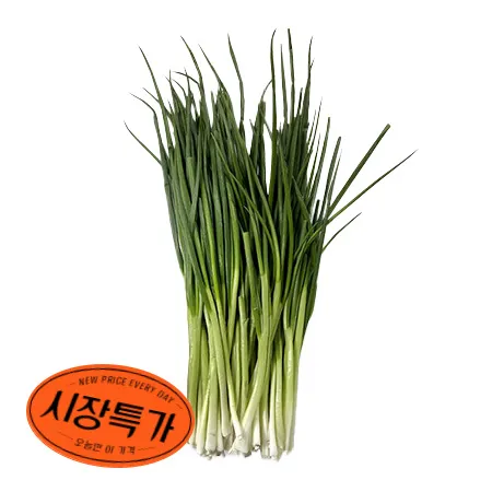 ★매일시장특가★ 깐쪽파(국내산 500g/EA) 쪽파